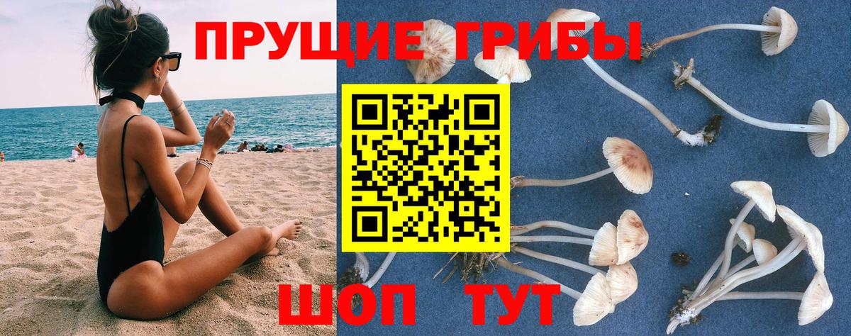 Псилоцибиновые грибы мухоморы Чита