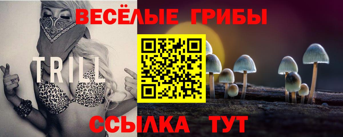 Псилоцибиновые грибы ЛСД  Вход с VPN  Чита  Галлюциногенные грибы Psilocybine cubensis 